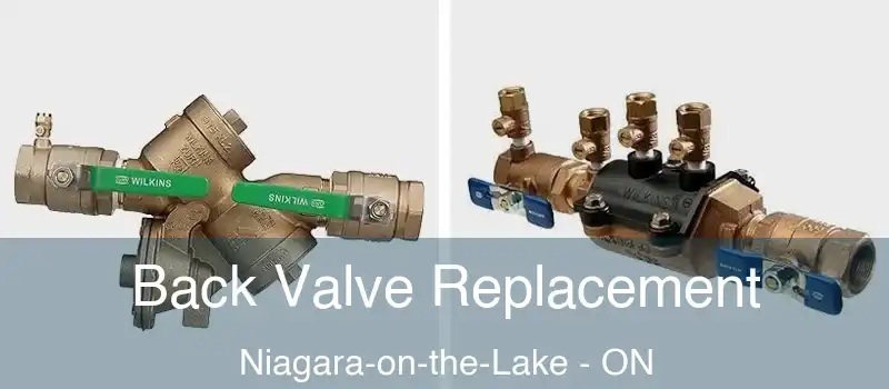  Back Valve Replacement Niagara-on-the-Lake - ON