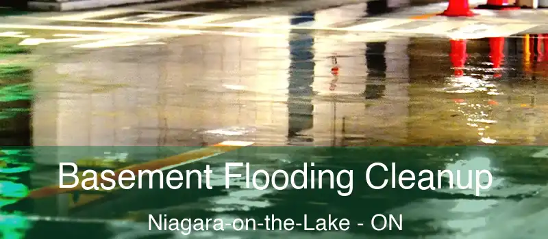  Basement Flooding Cleanup Niagara-on-the-Lake - ON