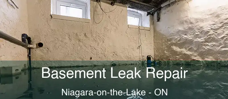  Basement Leak Repair Niagara-on-the-Lake - ON
