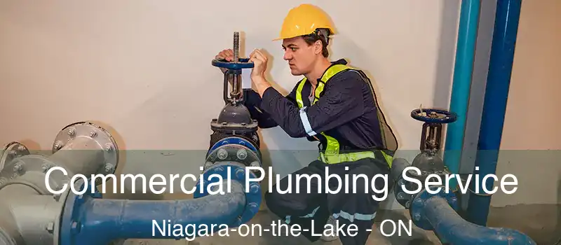  Commercial Plumbing Service Niagara-on-the-Lake - ON