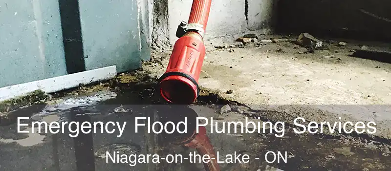  Emergency Flood Plumbing Services Niagara-on-the-Lake - ON