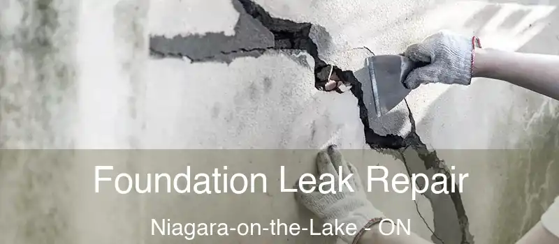  Foundation Leak Repair Niagara-on-the-Lake - ON