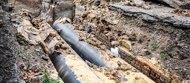 Commercial Sewer Tree Roots Damage Solutions in Niagara-on-the-Lake, ON