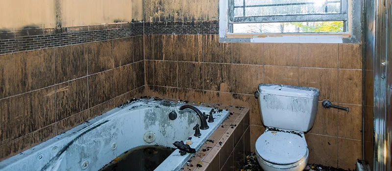 Residential Water Damage Restoration in Niagara-on-the-Lake, ON