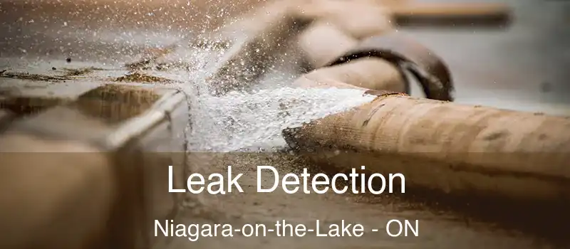  Leak Detection Niagara-on-the-Lake - ON