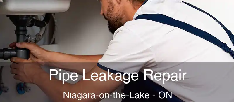  Pipe Leakage Repair Niagara-on-the-Lake - ON