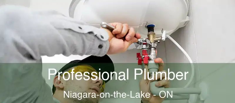  Professional Plumber Niagara-on-the-Lake - ON
