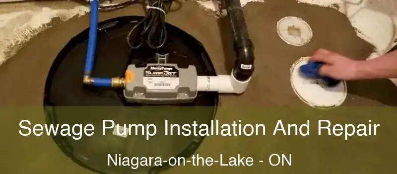 Sewage Pump Installation And Repair Niagara-on-the-Lake - ON