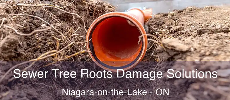  Sewer Tree Roots Damage Solutions Niagara-on-the-Lake - ON