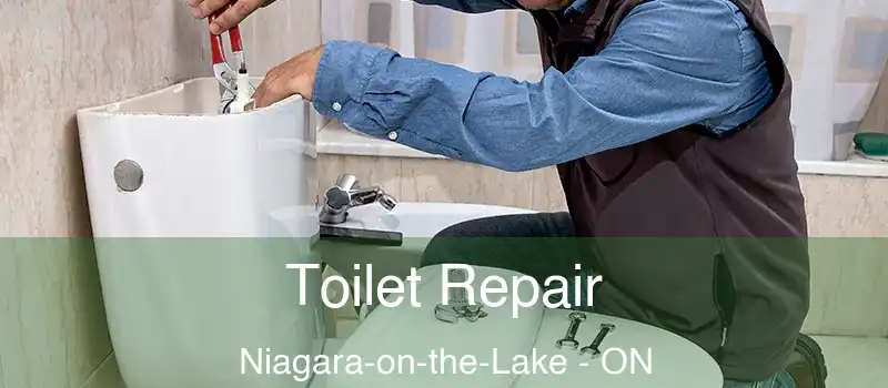 Toilet Repair Niagara-on-the-Lake - ON