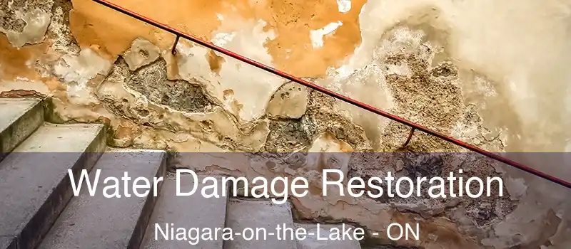  Water Damage Restoration Niagara-on-the-Lake - ON