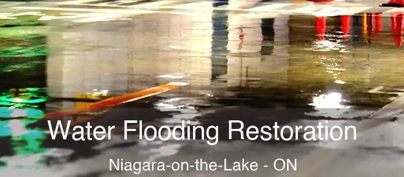 Water Flooding Restoration Niagara-on-the-Lake - ON