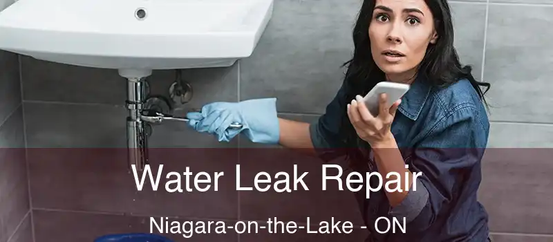  Water Leak Repair Niagara-on-the-Lake - ON
