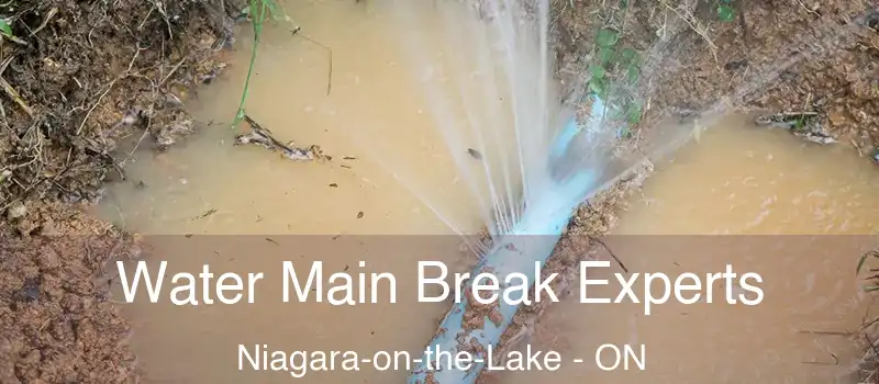  Water Main Break Experts Niagara-on-the-Lake - ON