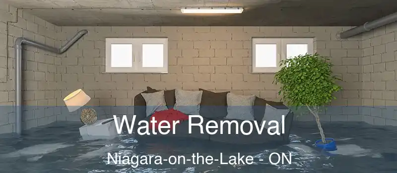  Water Removal Niagara-on-the-Lake - ON
